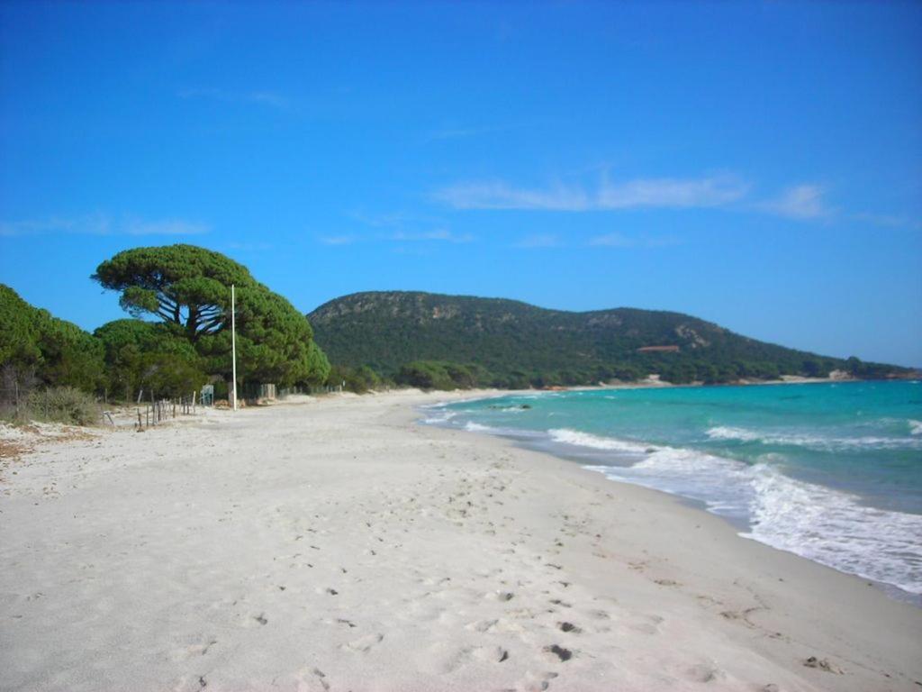 Villa Largia Porto Vecchio - A 5 Min Des Plages De Palombaggia - Calme- Climatisation 외부 사진